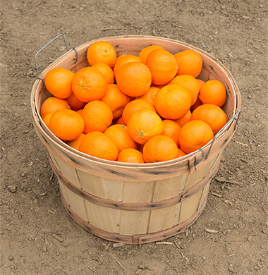 Mandarins | Wonderful Citrus